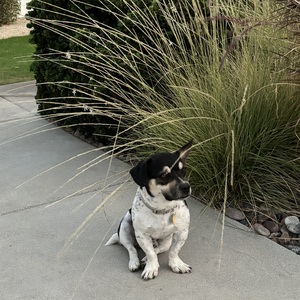 Fundraising Page: Banc Winsor